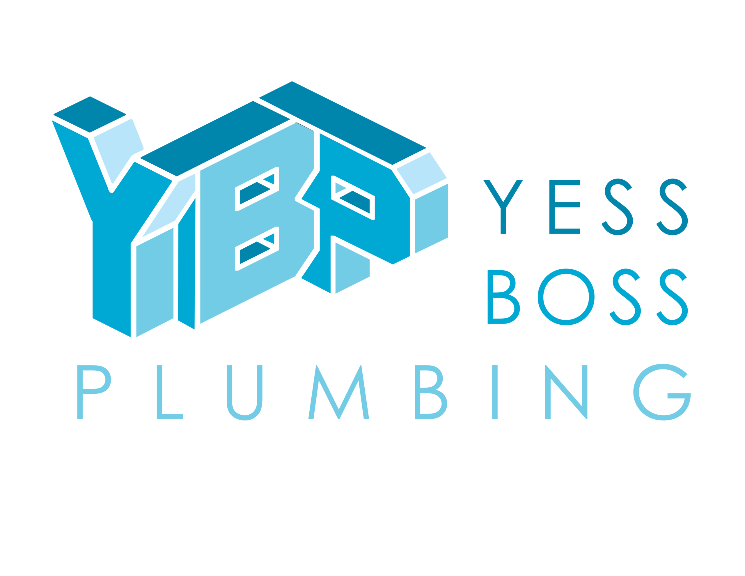 yess_boss_plumbing_transparent_600dpi